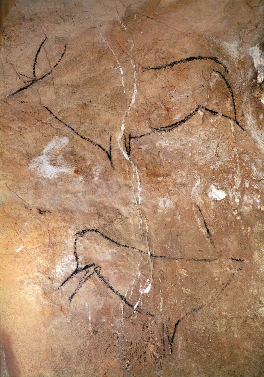 To hjorte, fra hulerne i Altamira, ca. 15000 f.Kr. (hulemaleri) af Prehistoric