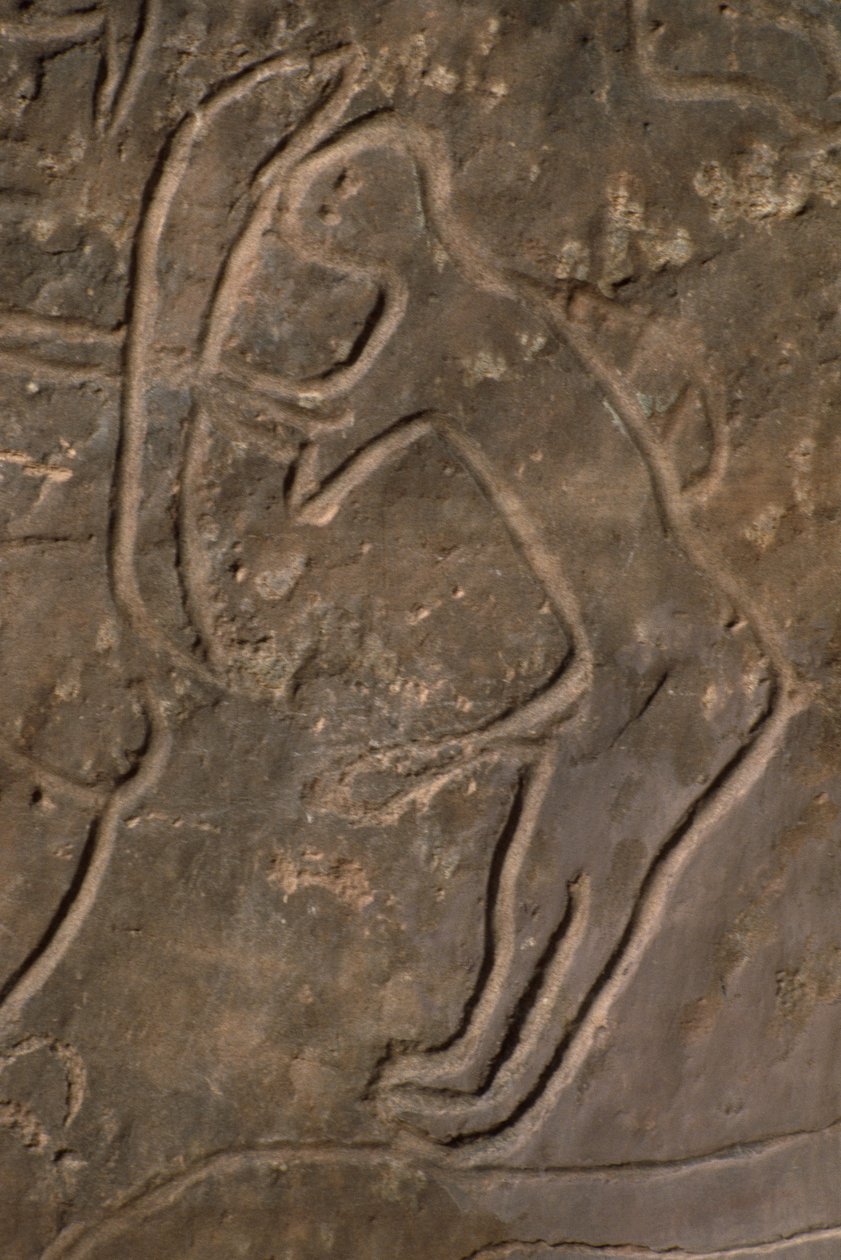 Menneskefigur og tyrehoved (helleristning) af Prehistoric