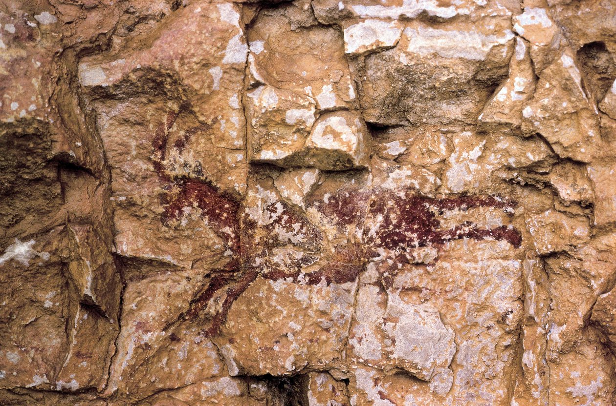 En løbende ged, mesolitisk periode, Spanien, Remigia-hulen, Barranco de la Gasulla, Ares del Maestre (maleri) af Prehistoric Prehistoric