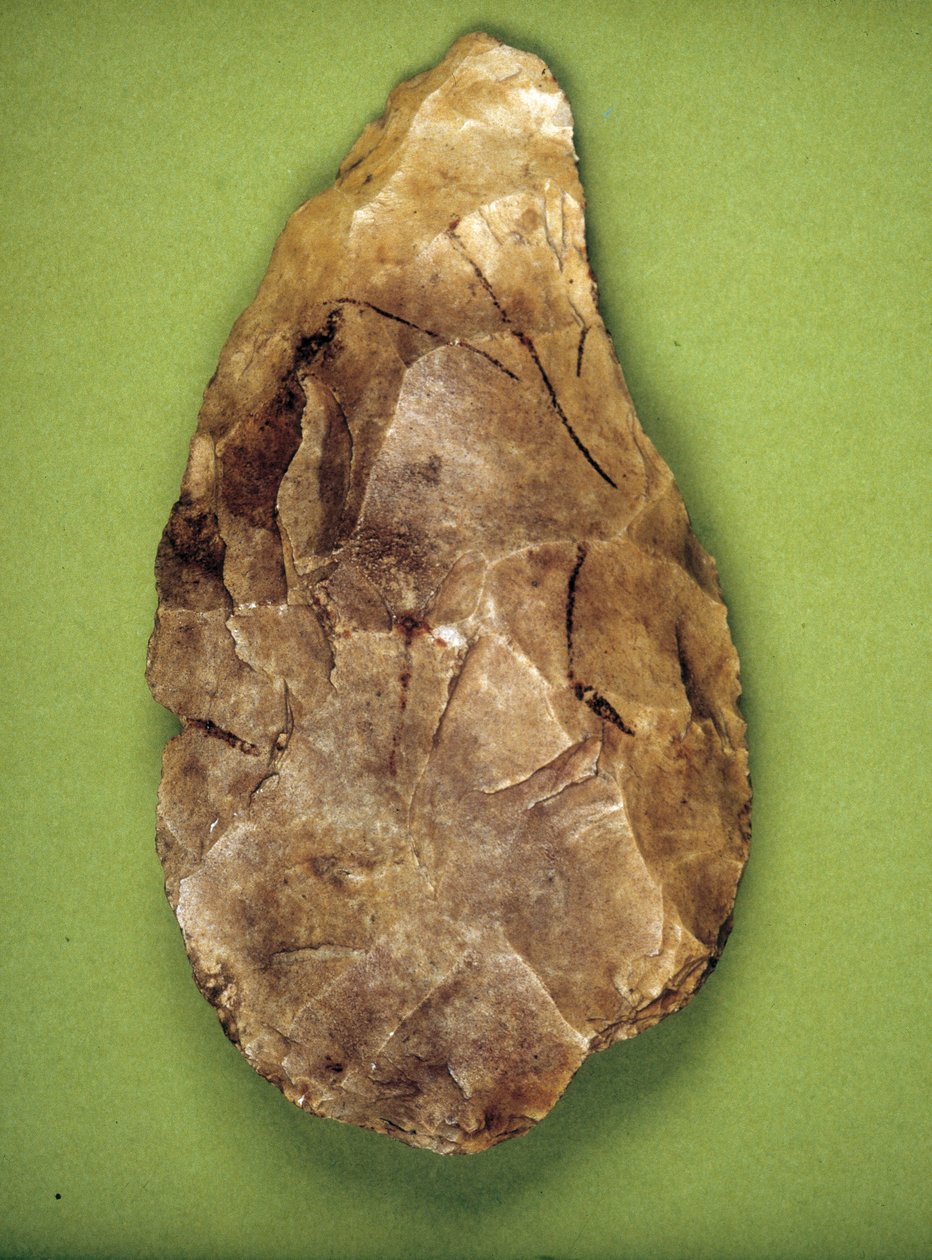 Acheulean polermaskine (midtpalæolitikum) Museo archeologico de Milan af Prehistoric Prehistoric