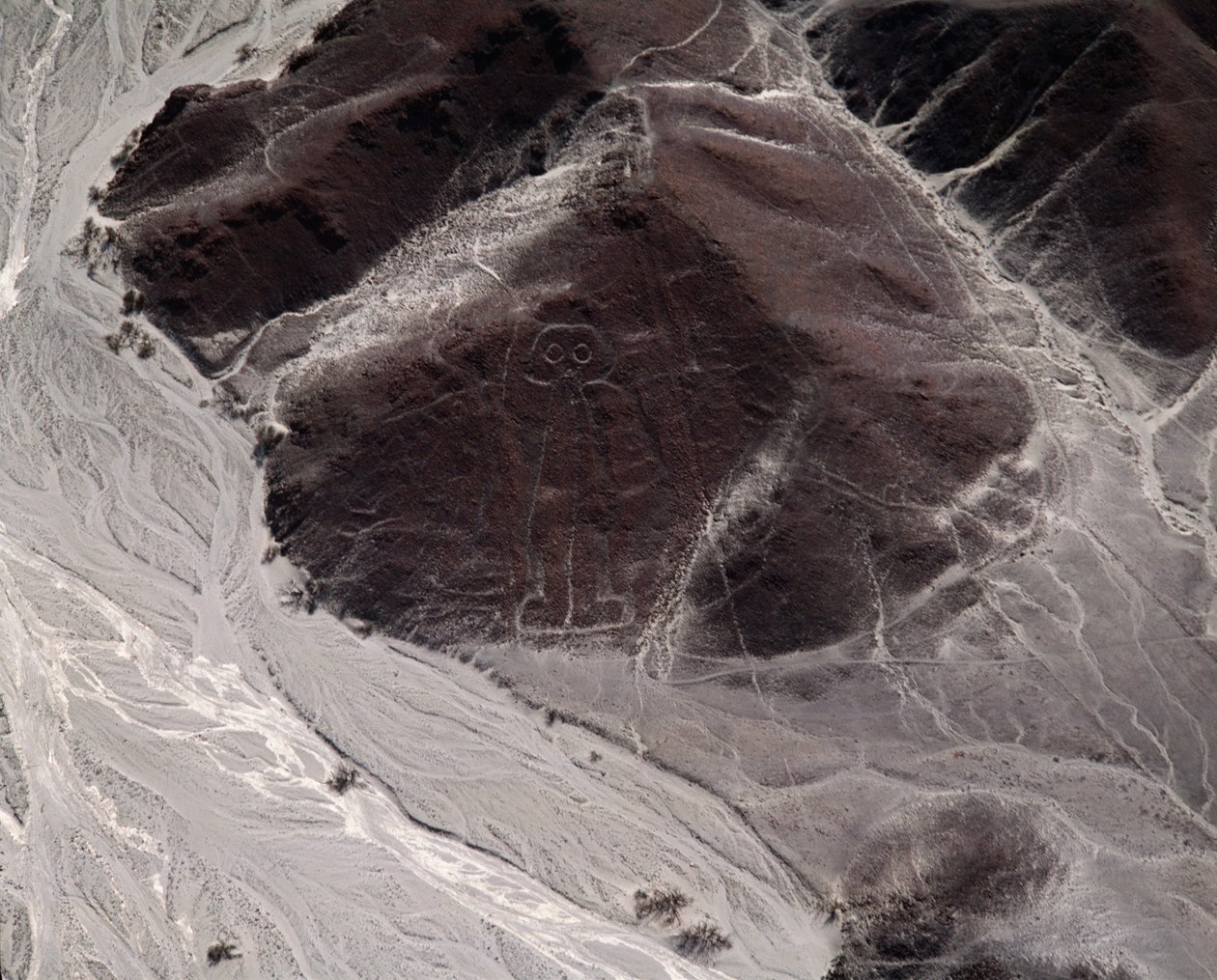 Luftfoto af Nazca-linjerne, der repræsenterer en menneskelig figur (fotografi af Prehistoric Prehistoric