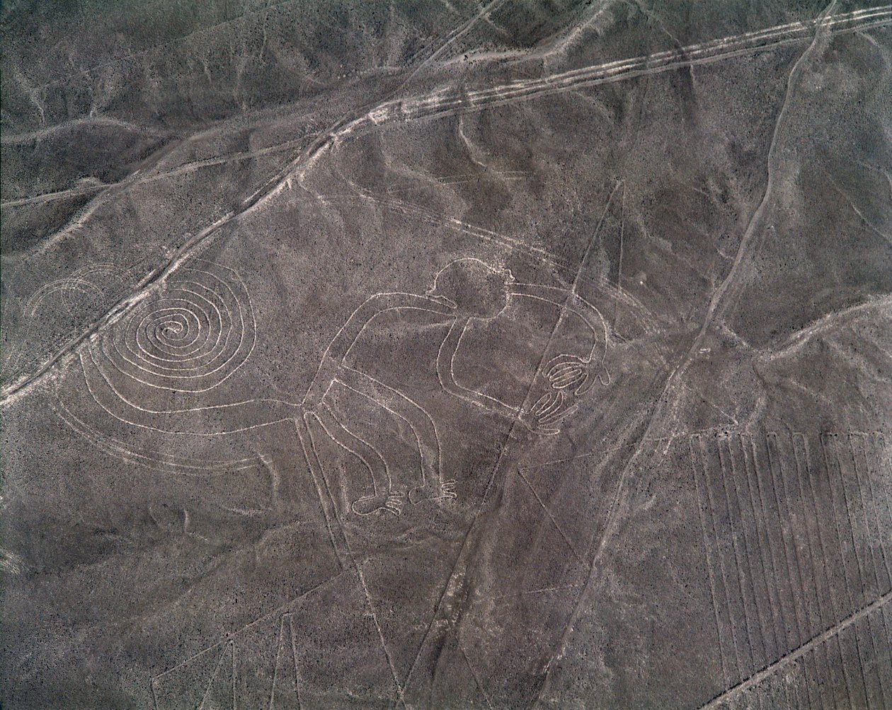Luftfoto af en abefigur, Nazca Lines (fotografi af Prehistoric Prehistoric