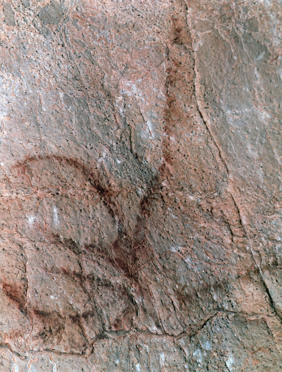  af Prehistoric Prehistoric