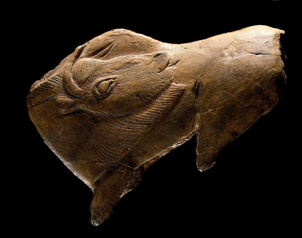 Bison rejser sig (Skulptur i rensdyrtræ fra ly af Madeleine i Dordogne. 11000 f.Kr.) af Prehistoric Prehistoric