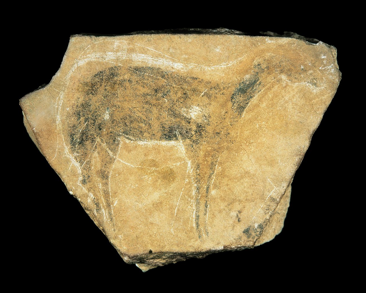 Black Doe, Parpallo Cave, Spanien, Øvre Paleolithic (maleri) af Prehistoric Prehistoric