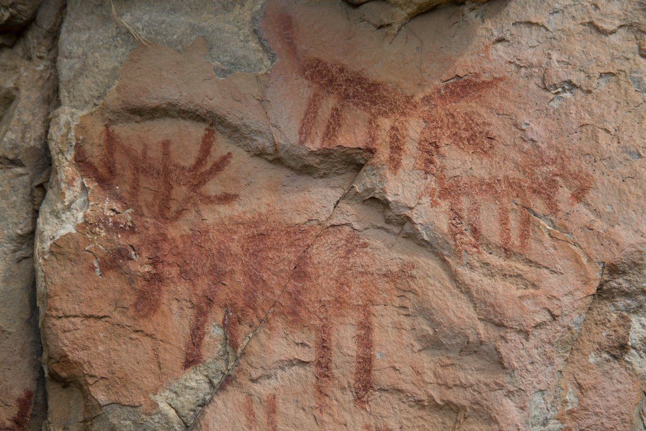 Hulemaleri, Salmon-Challis National Forest (foto) af Prehistoric Prehistoric