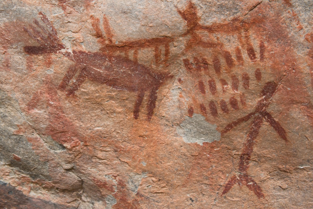Hulemaleri, Salmon-Challis National Forest (foto) af Prehistoric Prehistoric