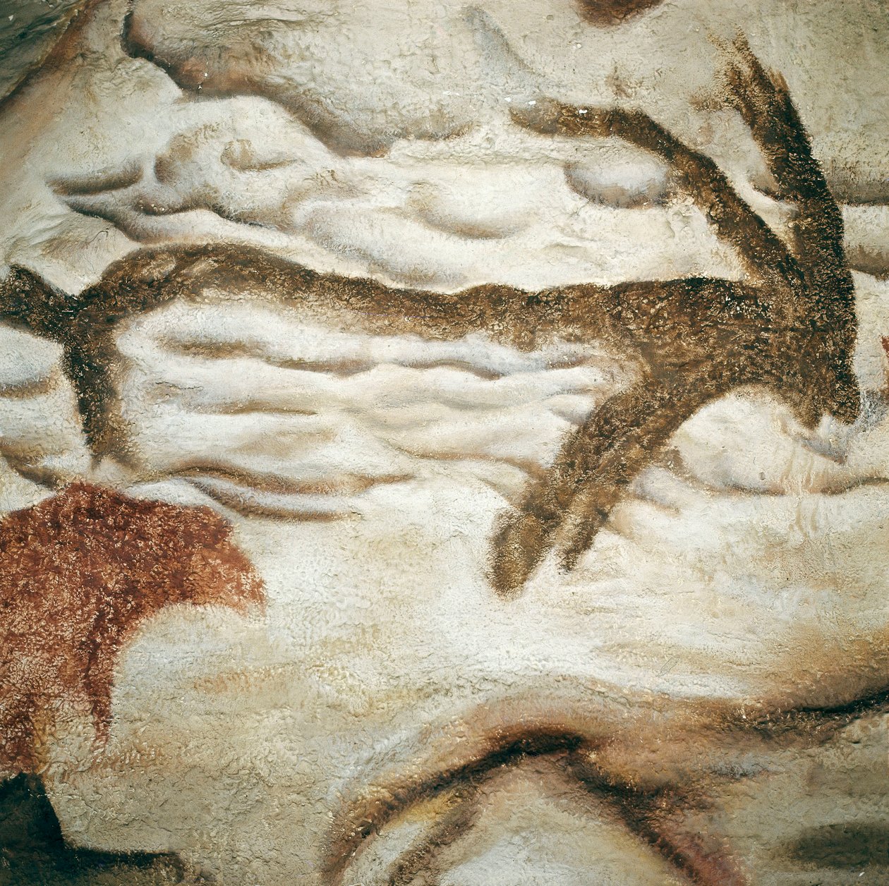Cervid klippemaleri, Cave de Lascaux, Dordogne, Frankrig, Øvre Paleolithic (Magdalenian) ca. 13000 år siden (maleri) af Prehistoric Prehistoric