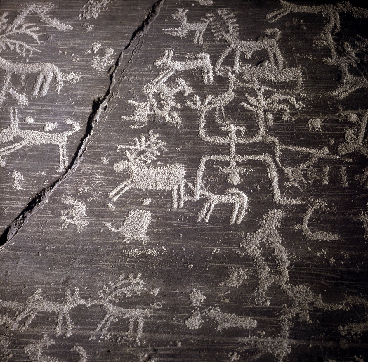 Civilisation af Camunni, forhistorie, klippekunst: gravsten, detaljer om den store klippe Naquane, i Valcamonica (Val camonica). Museo archeologico de Milan af Prehistoric Prehistoric