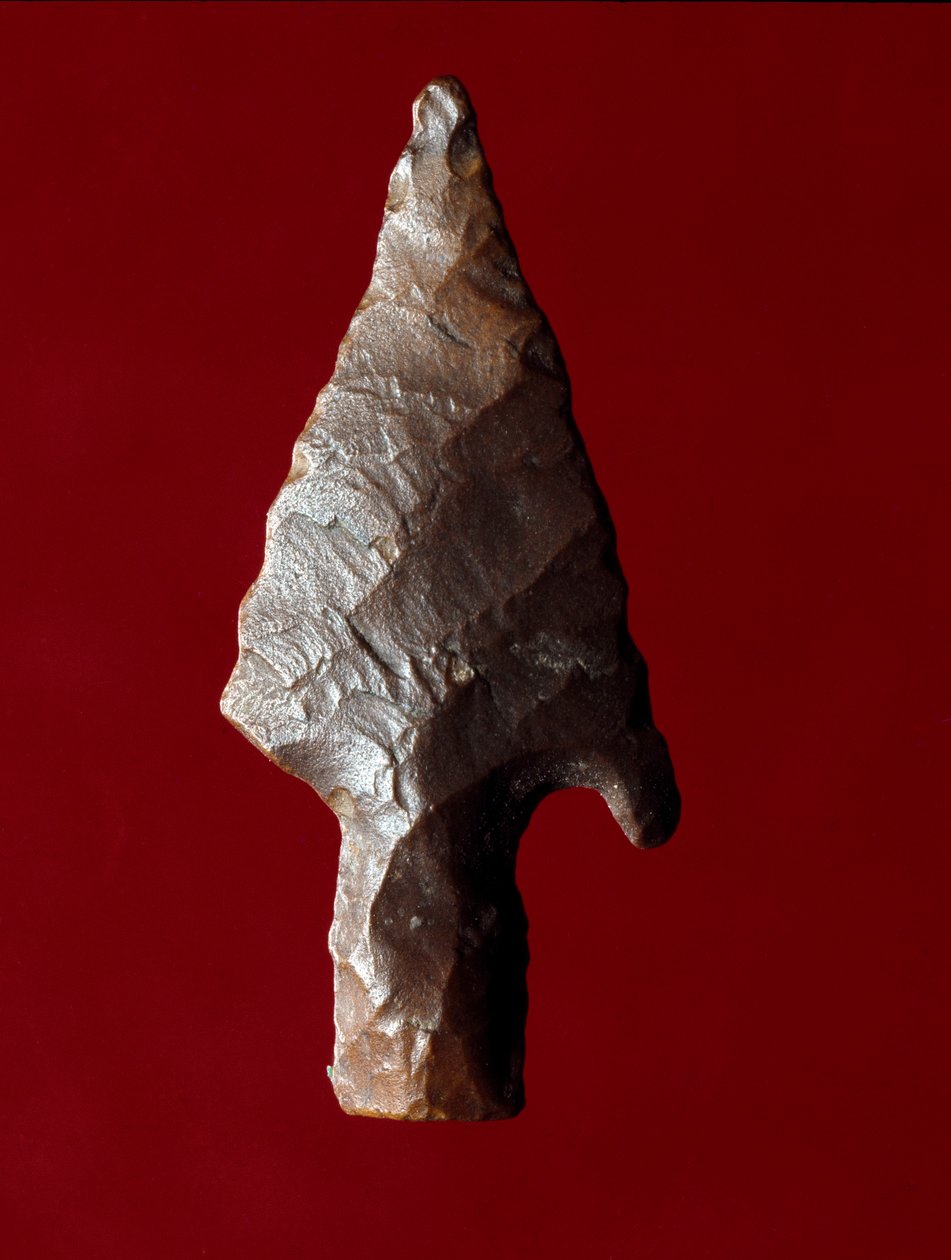Egyptisk antikvitet: pilspids fra stedet for Fayoum (Fayyum eller Fayum) i Egypten. Prædynastisk periode. Verone, Museo Civico di Storia Naturale, Italien af Prehistoric Prehistoric