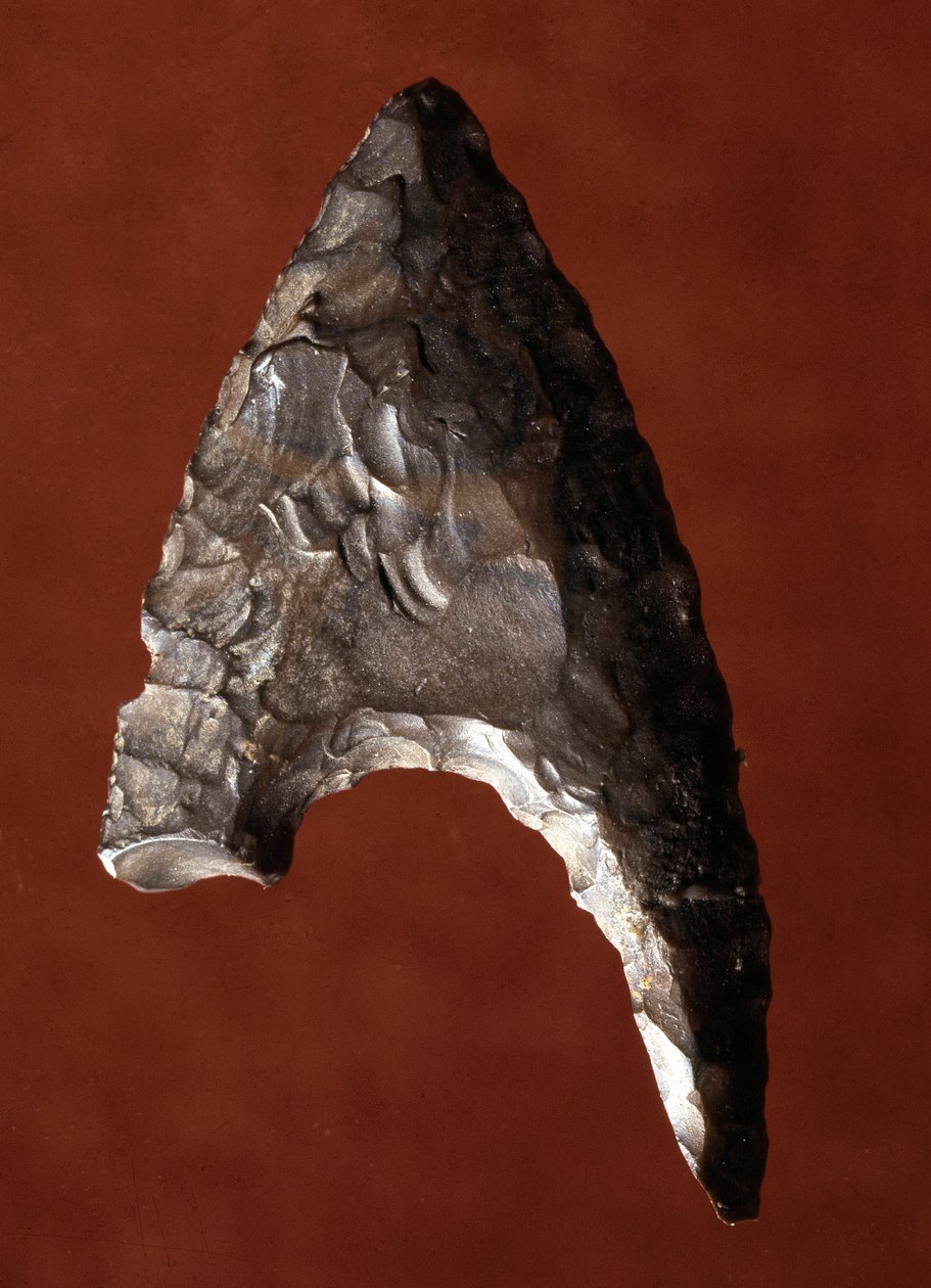 Egyptisk antikvitet: pilspids fra stedet for Fayoum (Fayyum eller Fayum) i Egypten. Prædynastisk periode. Verone, Museo Civico di Storia Naturale, Italien af Prehistoric Prehistoric