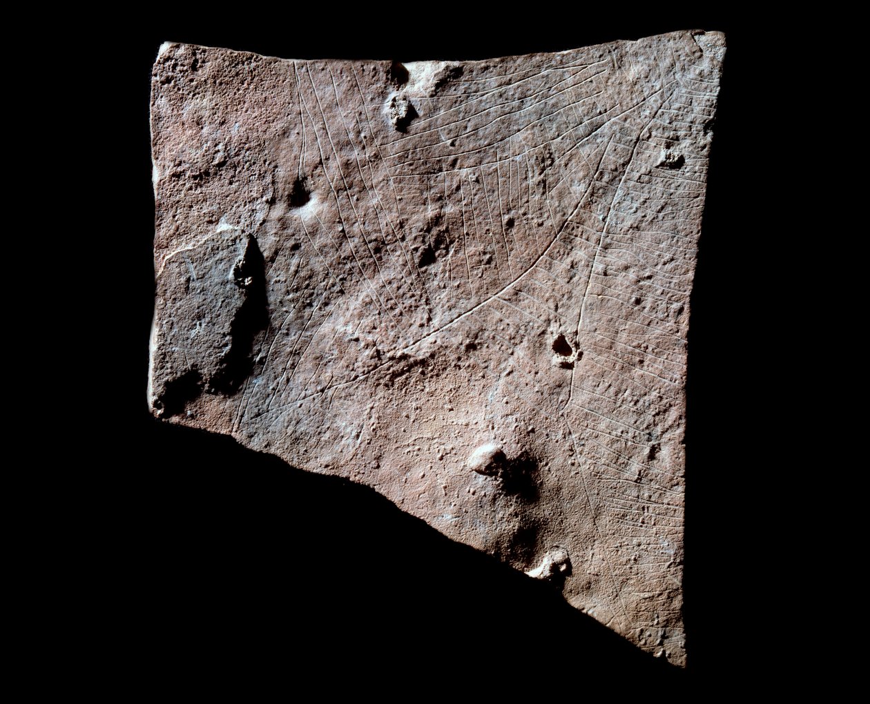 Grafitfragment med baghoved af Prehistoric Prehistoric