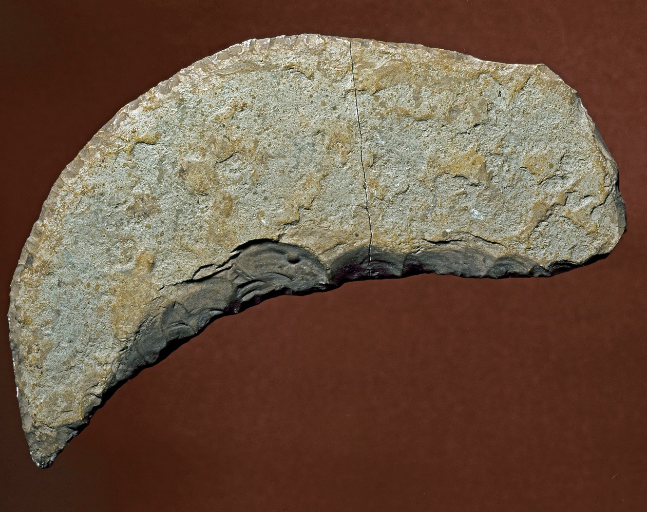 Forhistorie: værktøj af snittetypen af litisk fremstilling af Kjokkenmoddinger, danmark. Palæolitikum. Verone, Museo Civico di Storia Naturale, Italien af Prehistoric Prehistoric