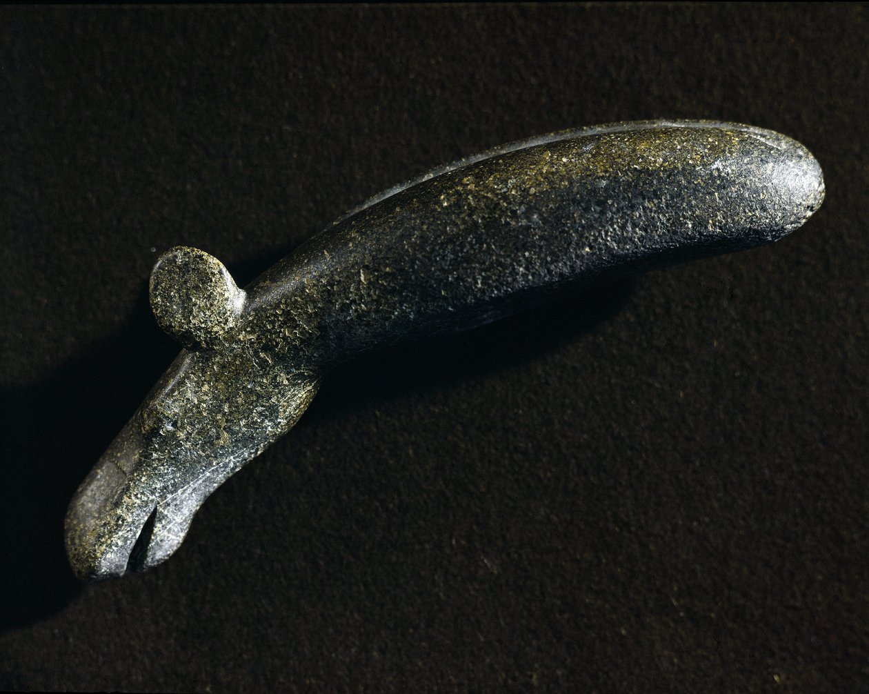 Prehistoire: dioritværktøj i form af elan. Stenalderen. Svenska Nationalantikvariemuseet, Stockholm, Sverige af Prehistoric Prehistoric