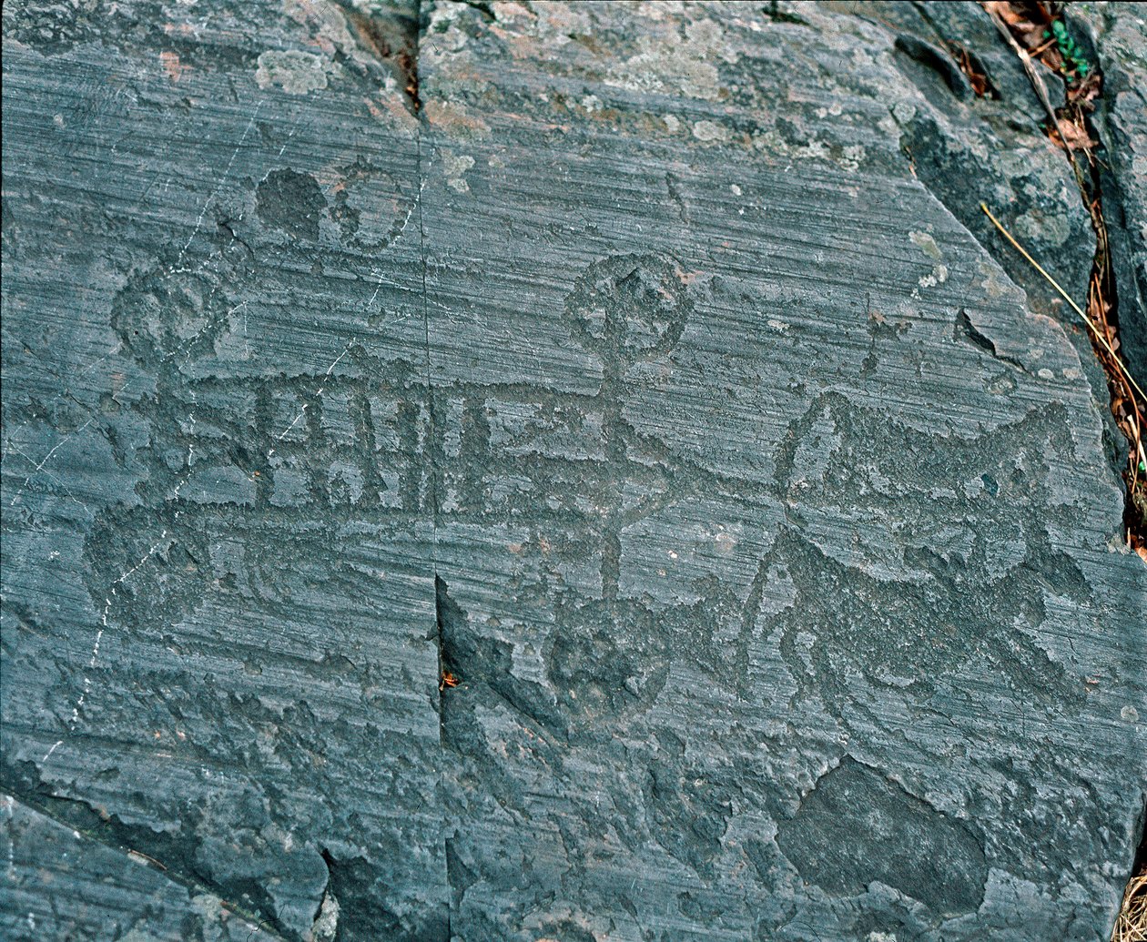 Forhistorie: Camunni civilisation: en vogn affyret af heste, hjul er repræsenteret med eger og heste er i profil i et forsøg på at prospektere. Stengravering af sten 23 af Naquane (Valcamonica, Val Camonica, Brescia). Periode mellem yngre stenalder og bro af Prehistoric Prehistoric
