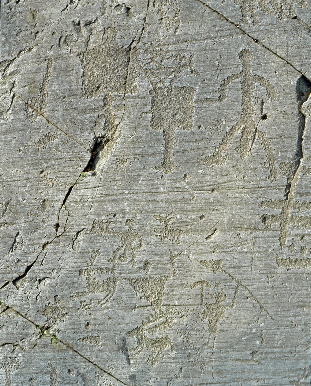 Forhistorie, Camunni civilisation, klippekunst: en gravsten af ​​hjortejagtscener og hverdagsliv i en landsby. Periode mellem yngre stenalder og bronzealder. Capo di Ponte, Naquane Rock Carvings National Park, Valcamonica, Val Camonica, af Prehistoric Prehistoric