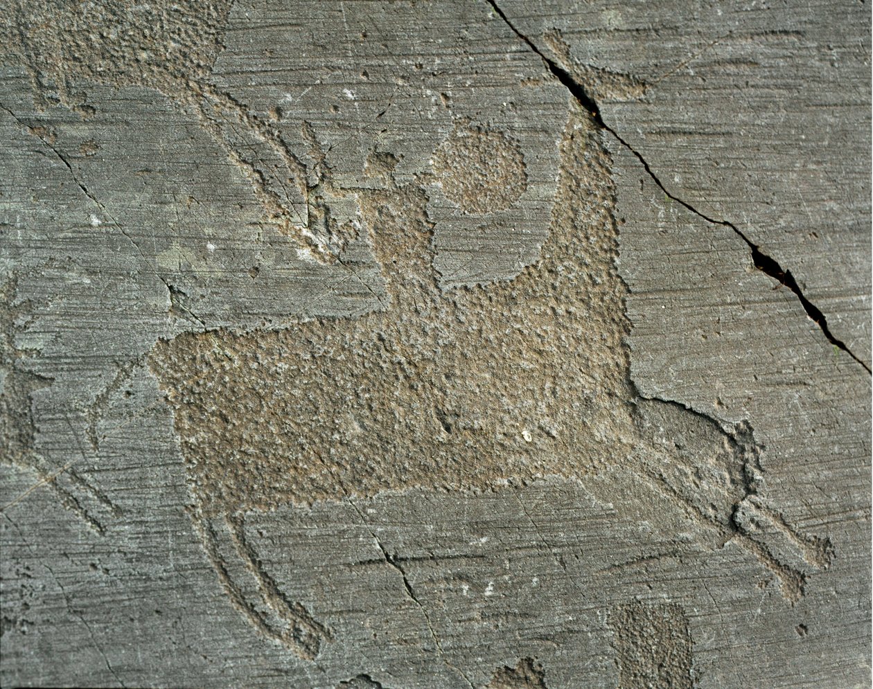 Forhistorie, Camunni civilisation, klippekunst: gravsten, der forestiller en kriger til hest med et skjold. Periode mellem yngre stenalder og bronzealder. Capo di Ponte, Naquane Rock Carving National Park, Valcamonica, Val Camonica, Italien af Prehistoric Prehistoric
