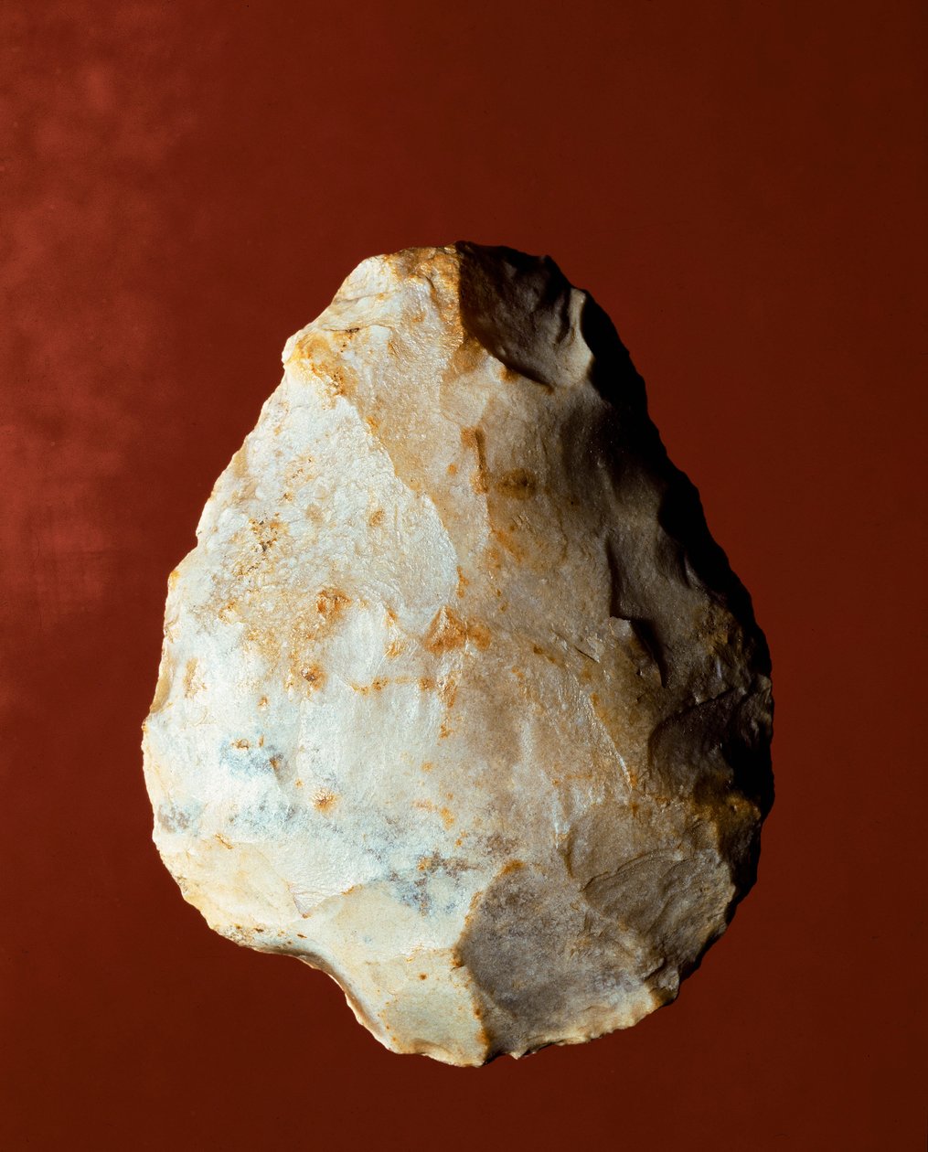 Forhistorie: Litisk fremstilling af biface af Micoquian type. Nedre palæolitikum. Verone, Museo Civico di Storia Naturale, Italien af Prehistoric Prehistoric
