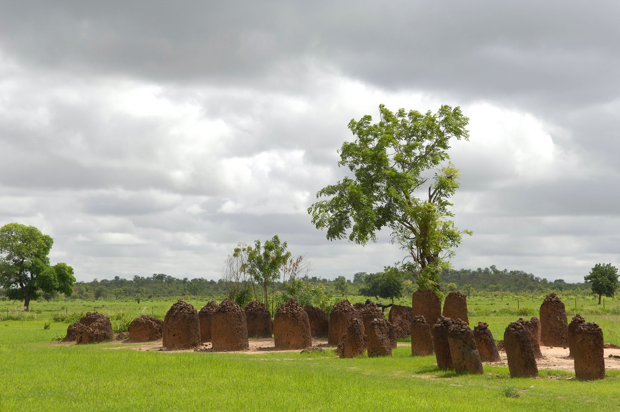Forhistorie: Megalitisk cirkel af sten fra Wassu, Gambia (foto) af Prehistoric Prehistoric