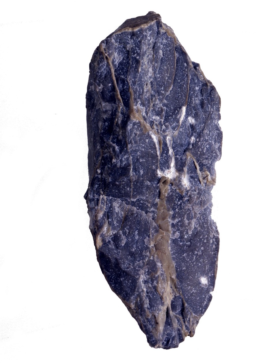 Forhistorie: Perioder af det arkæozoiske eller prækambriske (arkaiske) fragment af Collenia-bjergart af stromatolit- eller stromatolittype. Fra USA. af Prehistoric Prehistoric