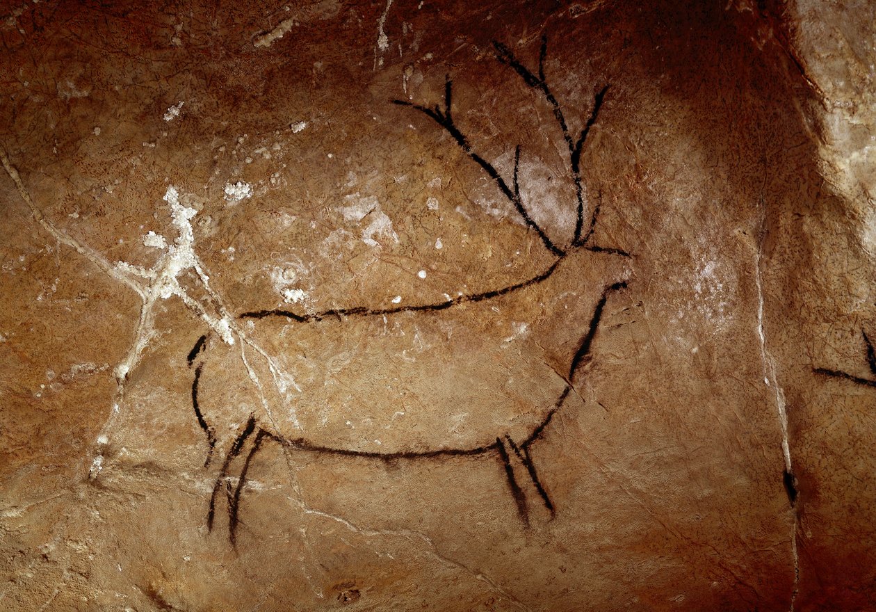 Forhistorie: en hjort. Øvre palæolitisk hulemaleri (magdalensk) (16.500 og 14.000 år siden). Alder af sten. Cave of Las Chimeneas, Monte Castillo, Spanien af Prehistoric Prehistoric