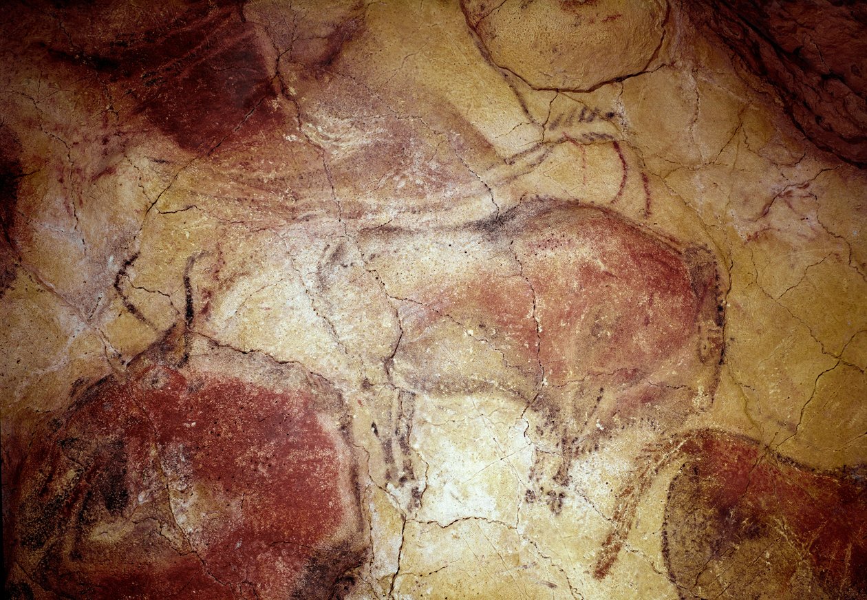 Forhistorie: "" bison i hvile"" klippemaleri af den øvre palæolitikum (magdalensk) (mellem 16500 og 14000 år siden) stenalderbisongrotten, Altamira, Santander, Spanien af Prehistoric Prehistoric