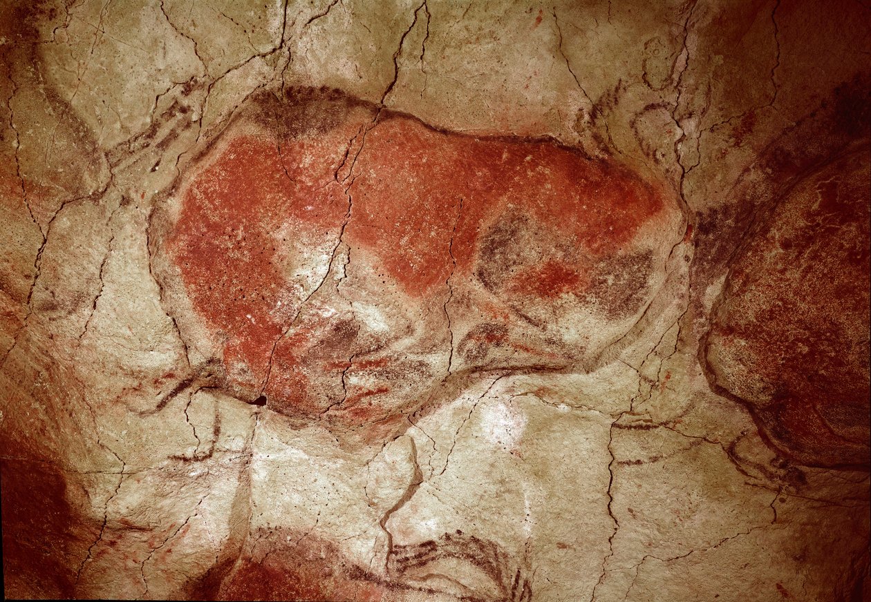 Forhistorie: "" bison i hvile"" klippemaleri af den øvre palæoloitikum (magdalensk) (mellem 16500 og 14000 år siden) Stenalderbisongrotte, Altamira, Santander, Spanien - Forhistorie: bison i hvile. klippemaleri, øvre palæolitikum (magdalensk) (mellem 1 af Prehistoric Prehistoric