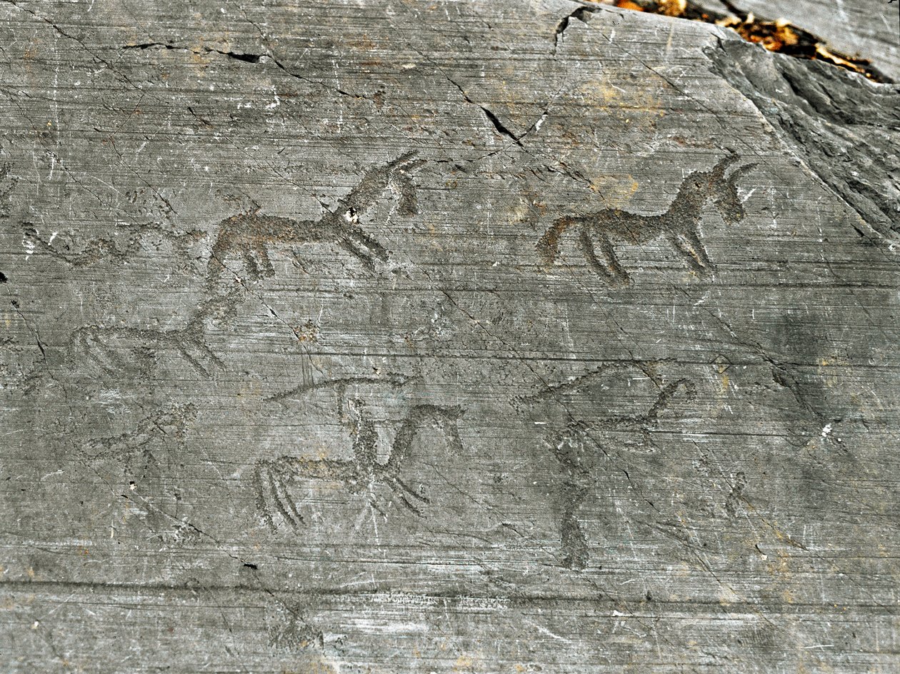 Forhistorie, civilisation af Camunni, klippekunst: en gravklippe af en jagtscene, en jæger slår et spyd. Periode mellem yngre stenalder og bronzealder. Capo di Ponte, Naquane Rock Carving National Park, Valcamonica, Val Camonica, Italien af Prehistoric Prehistoric