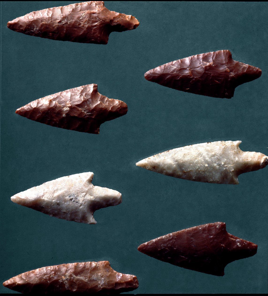 Forhistorie, kultur af Rinaldone (Montefiascone): pile fra nekropolis af Rinaldone. Kobberalder. Eneolitisk. 2200 f.Kr. Rom, Luigi Pigorini Nationalmuseum for forhistorisk etnografi af Prehistoric Prehistoric