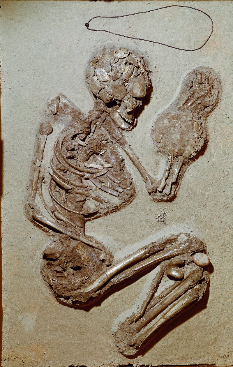 Forhistorie: kvindeskelet stammer fra den øvre neolitikum. Chiozzas kultur. 2900-2700 f.Kr. Reggio Emilia, Civic Museer, Chierici Museum, Italien af Prehistoric Prehistoric
