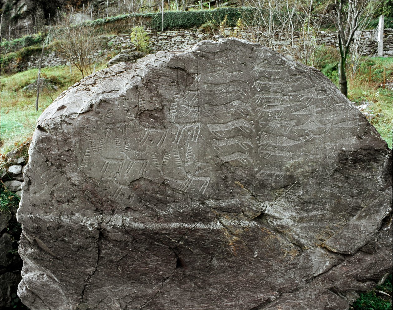 Forhistorie, klippekunst: gravsten af ​​repræsentationer af hjorte, kvæg og dolke. Kobberalder. Eneolitisk periode (kalkolitisk). Roche nr. 1. Cemmo (Brescia) National Archaeological Park of the Boulders of Cemmo, Italien af Prehistoric Prehistoric