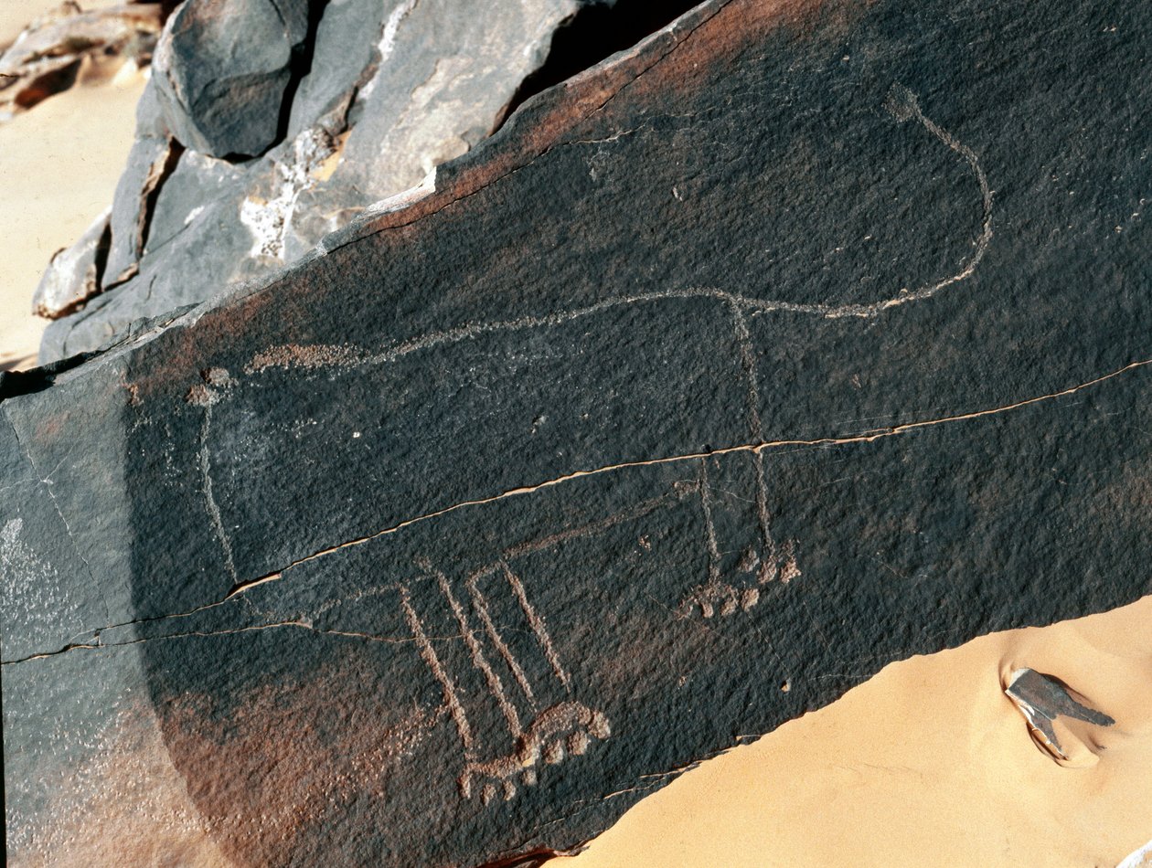 Forhistorie, klippekunst: gravsten af repræsentationen af en løve. Tazina stil. Stenalder 5000-2000 f.Kr. Taghit, Haut plateau du Hoggar (Ahaggar), Algeriet af Prehistoric Prehistoric