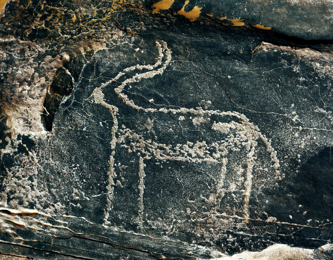 Forhistorie, klippekunst: gravsten af repræsentationen af en antilope. Stenalder 5000-2000 f.Kr. Taghit, Haut plateau du Hoggar (Ahaggar), Algeriet af Prehistoric Prehistoric