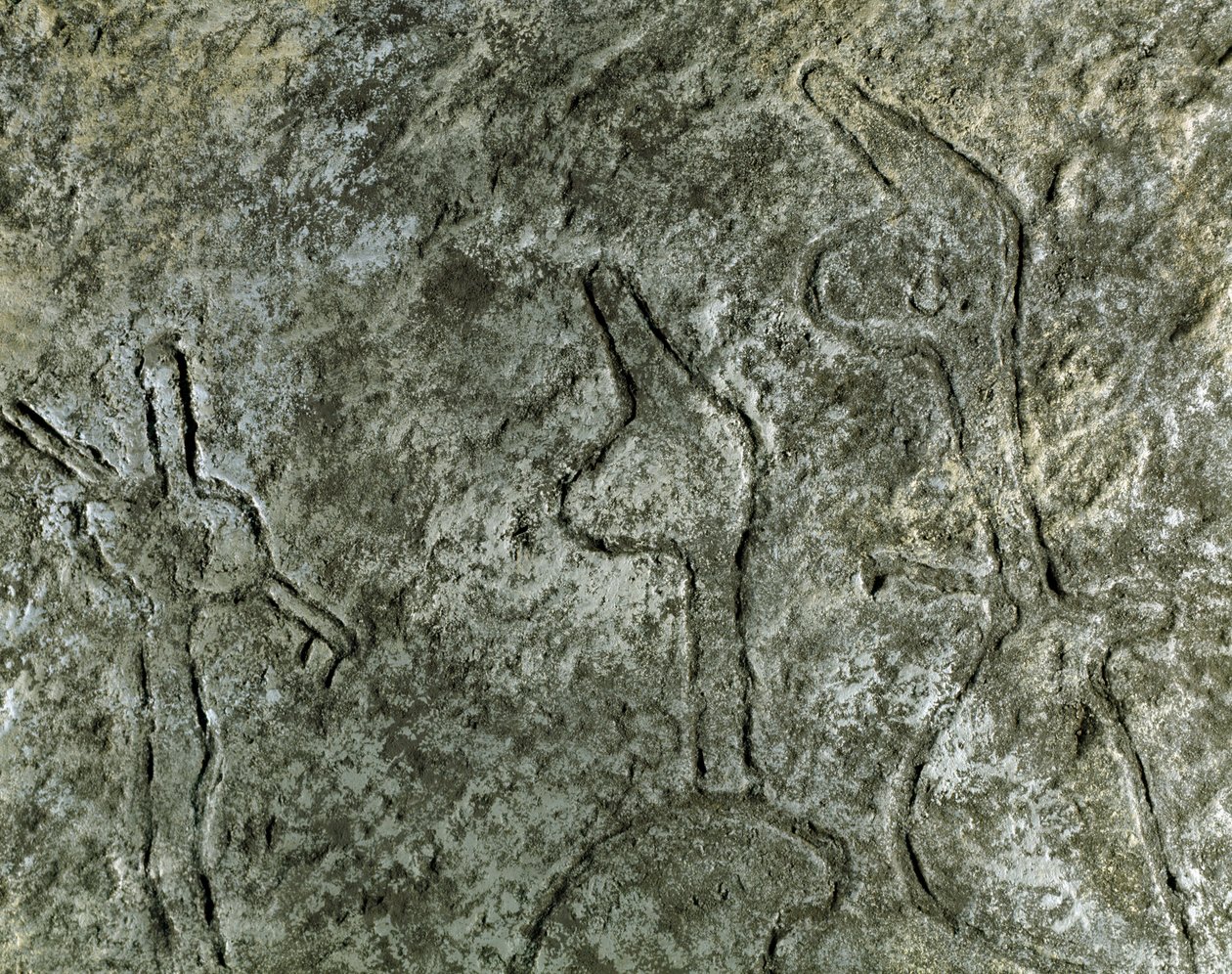Forhistorie, klippekunst: helleristning (graffiti på sten) af en jagtscenerepræsentation. neolitikum, stenalder. (Aserbajdsjan) Bronzealder. Baku, Aserbajdsjans statslige religionshistoriske museum af Prehistoric Prehistoric