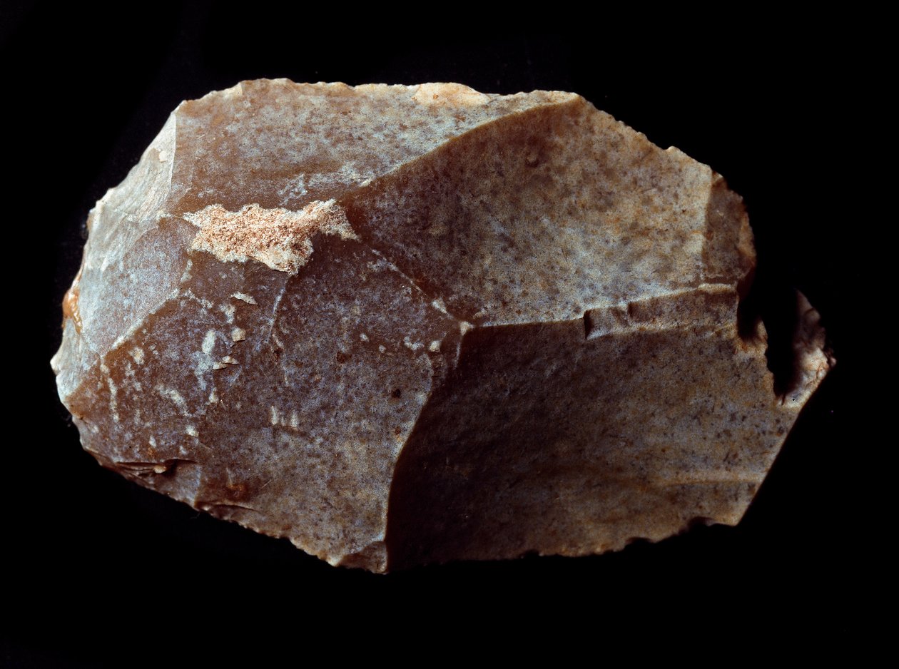 Forhistorie: skåret på stenskraber. Øvre Palæolitikum, Magdalene. Verone, Civic Museum of Natural History, Italien af Prehistoric Prehistoric