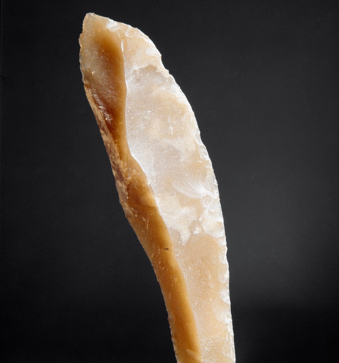 Forhistorie: spids af flint fra Necropole of Arene Candide (Finale Liguria), Liguria. Øvre palæolitikum, stenalder. Genes, ligurisk arkæologisk museum af Prehistoric Prehistoric