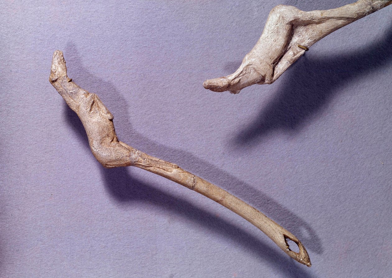 Forhistorie: To thrustere sagde “” til hoppende hest ”” lavet i rensdyr træ. Periode for den midterste Magdalenian. Saint Germain en Laye, Museum of National Archaeology af Prehistoric Prehistoric