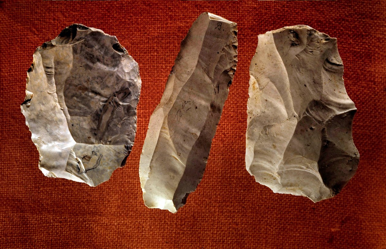 Forhistorie: upolerede udskårne økser. Neolitisk æra. Saint Germain en Laye, Museum of National Antiquities af Prehistoric Prehistoric