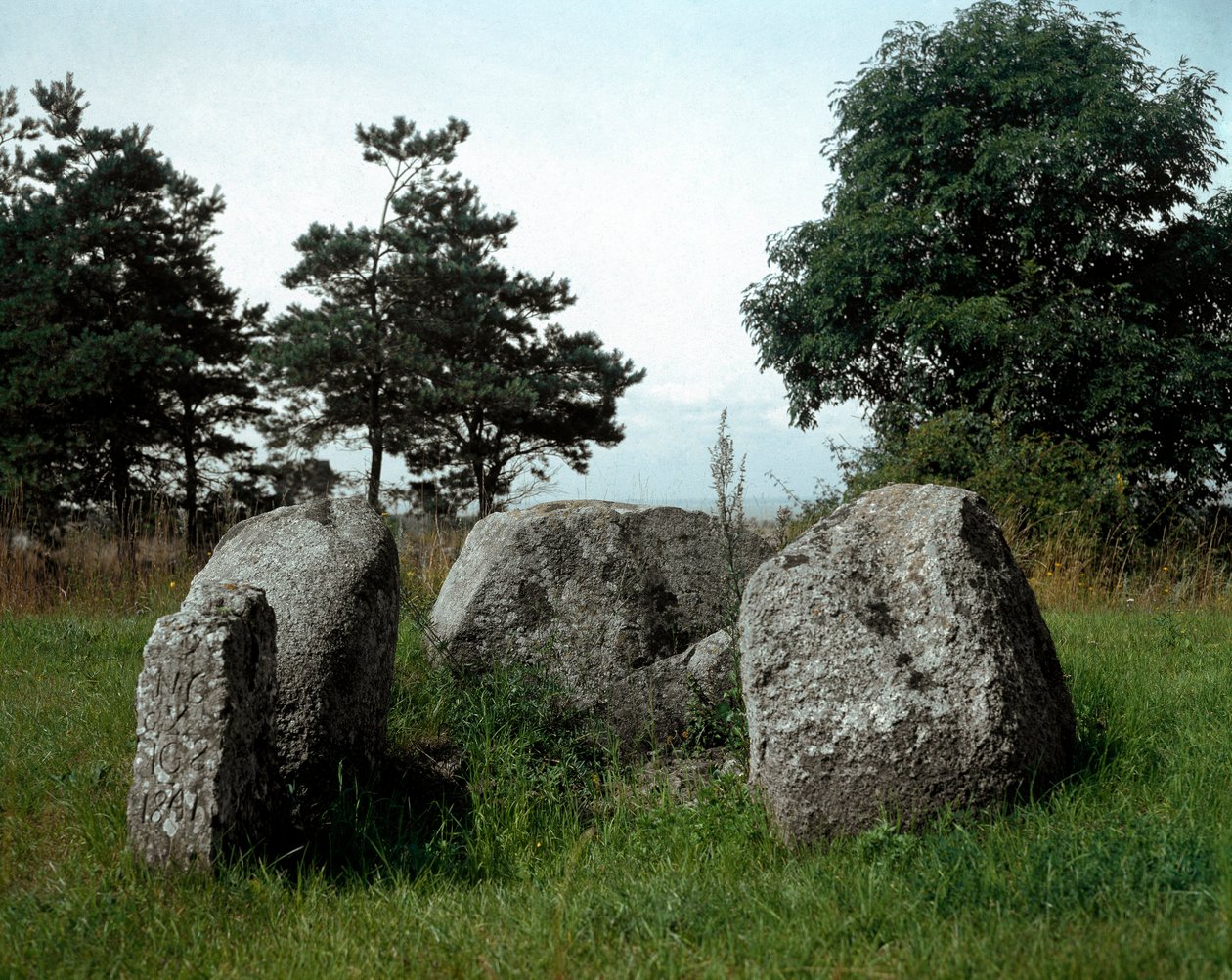 Forhistorie: udsigt over dyssene i Chianca med dens indgangskorridor. Stenalder, yngre stenalder. 6.-3. århundrede f.Kr. Bisceglie, Puglia, Italien af Prehistoric Prehistoric