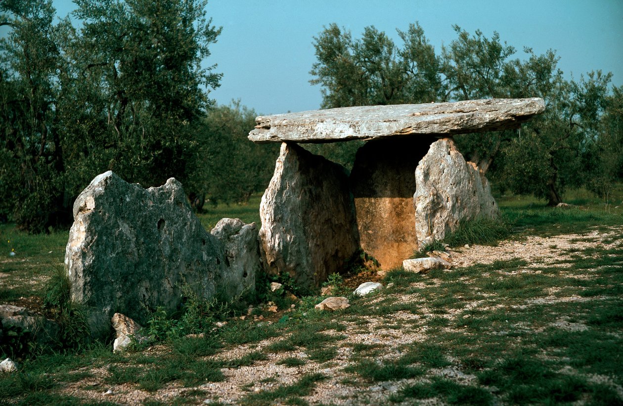 Forhistorie: udsigt over dyssene i Chianca med dens indgangskorridor. Stenalder, yngre stenalder. 6.-3. århundrede f.Kr. Bisceglie, Puglia, Italien af Prehistoric Prehistoric