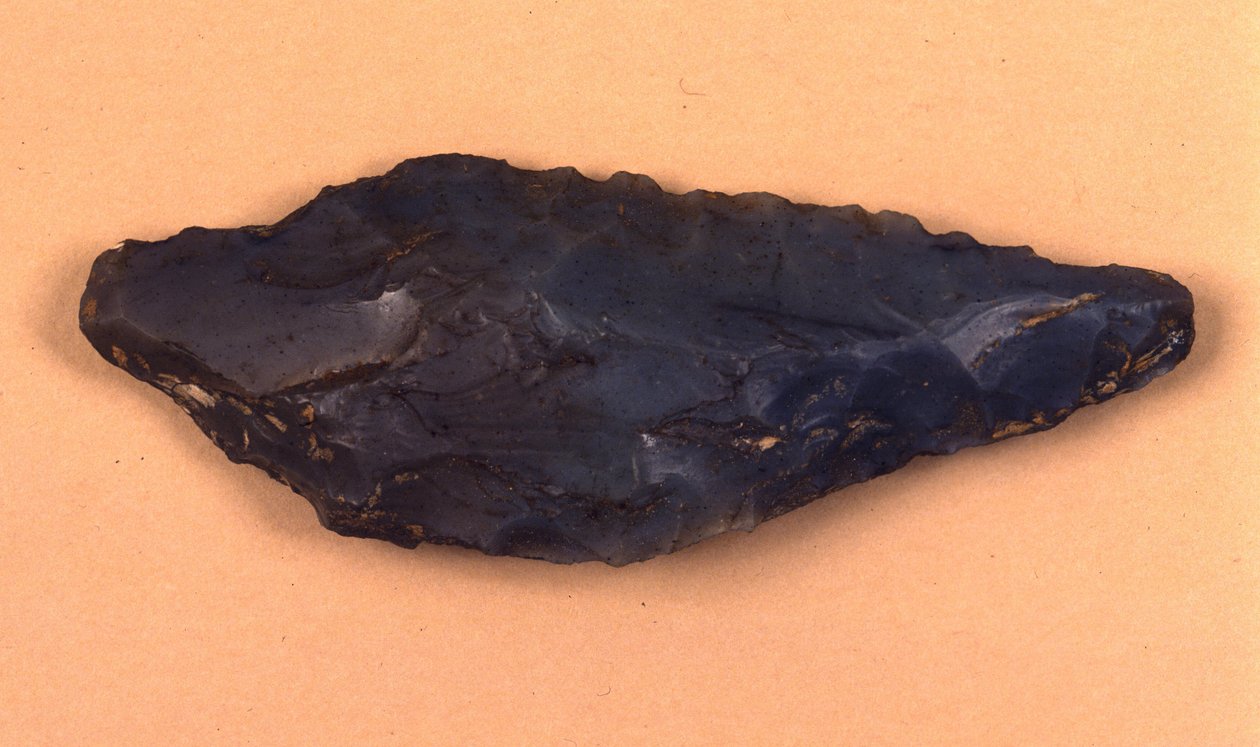 Stenpilespids opdaget i Isolino di Varese (Italien). af Prehistoric Prehistoric