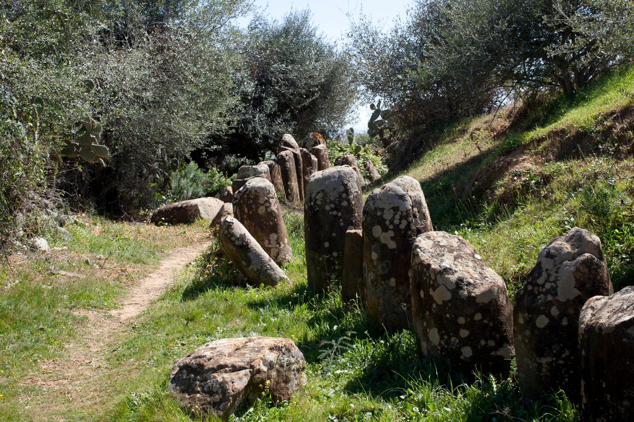 Det arkæologiske sted for cromlech M Zora, i Sidi El Yamani (Marokko). Neolitisk gravhøj (2000 f.Kr.), omgivet af 167 monolitter. af Prehistoric Prehistoric