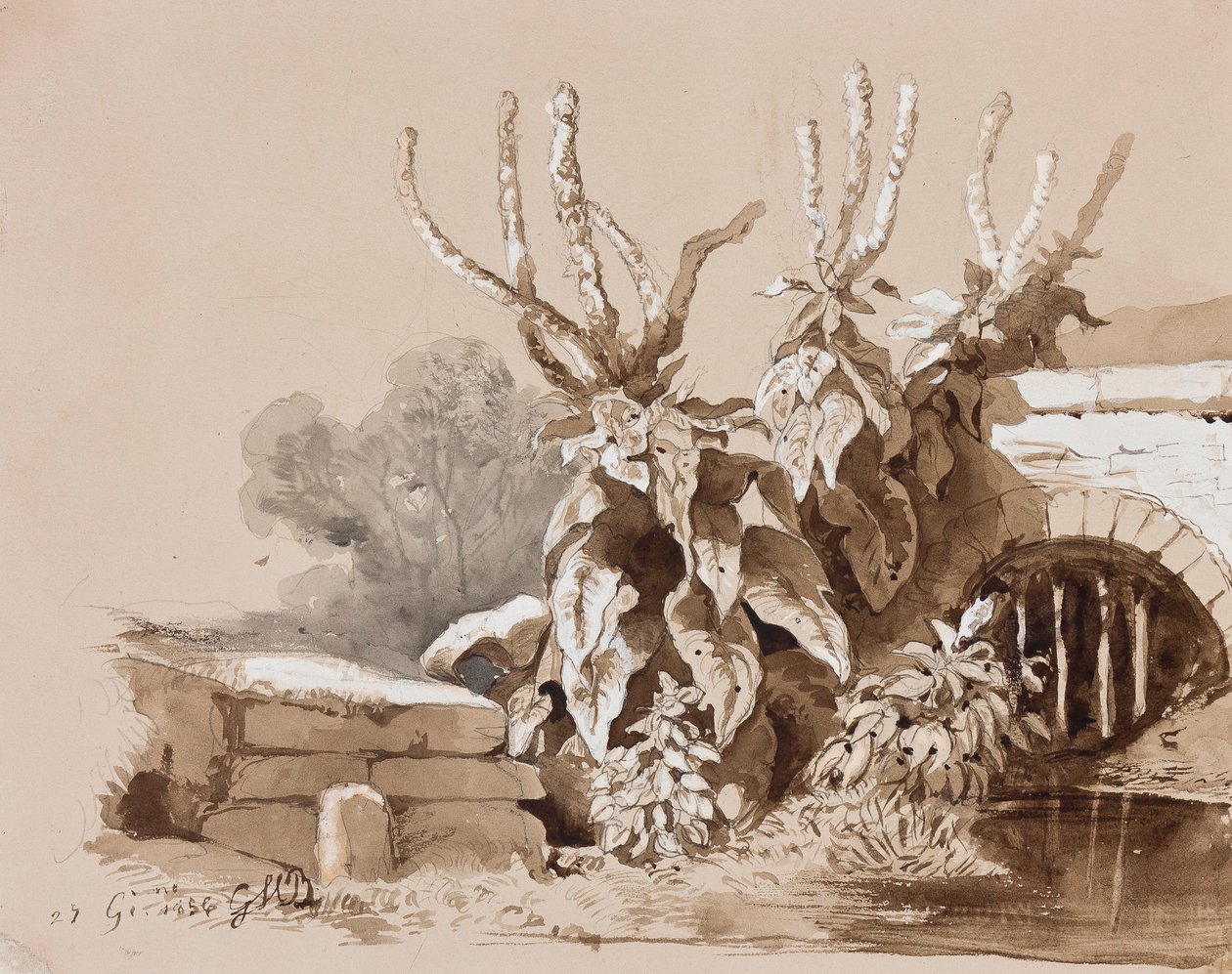 Studie af planter ved en grøft, med tilføjelser af en instruktør, 1856 (blyant, sepia-vaske og gouache på papir) af Prince Gaetano Maria Federico di Borbone