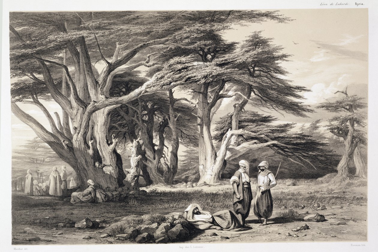 The Cedars of Libanon, graveret af Freeman (sepia print) af Prosper Georges Antoine Marilhat