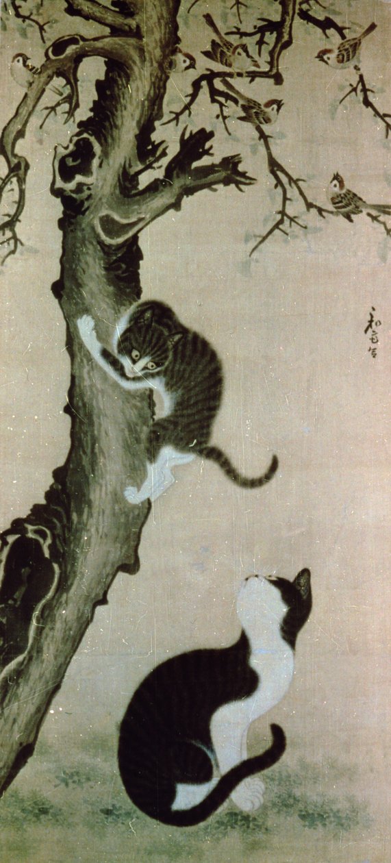 Katte, 1600-tallet (blæk på silke) af Pyon Sang Byok