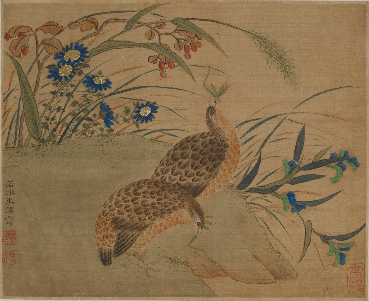 To vagtler, der spiser græshopper under blomster af Qing Dynasty Chinese School