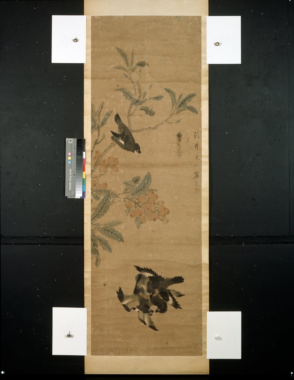 Fugle og gren af Qing Dynasty Chinese School