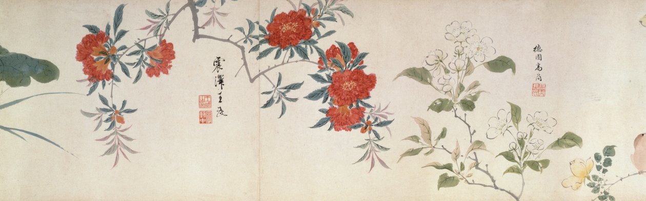 Blomster, Handscroll (blæk og farve på papir) af Qing Dynasty Chinese School