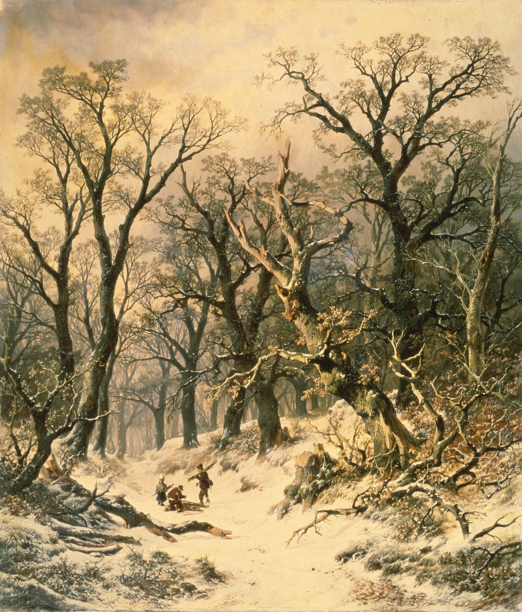 Skoven af R. Van Hannen