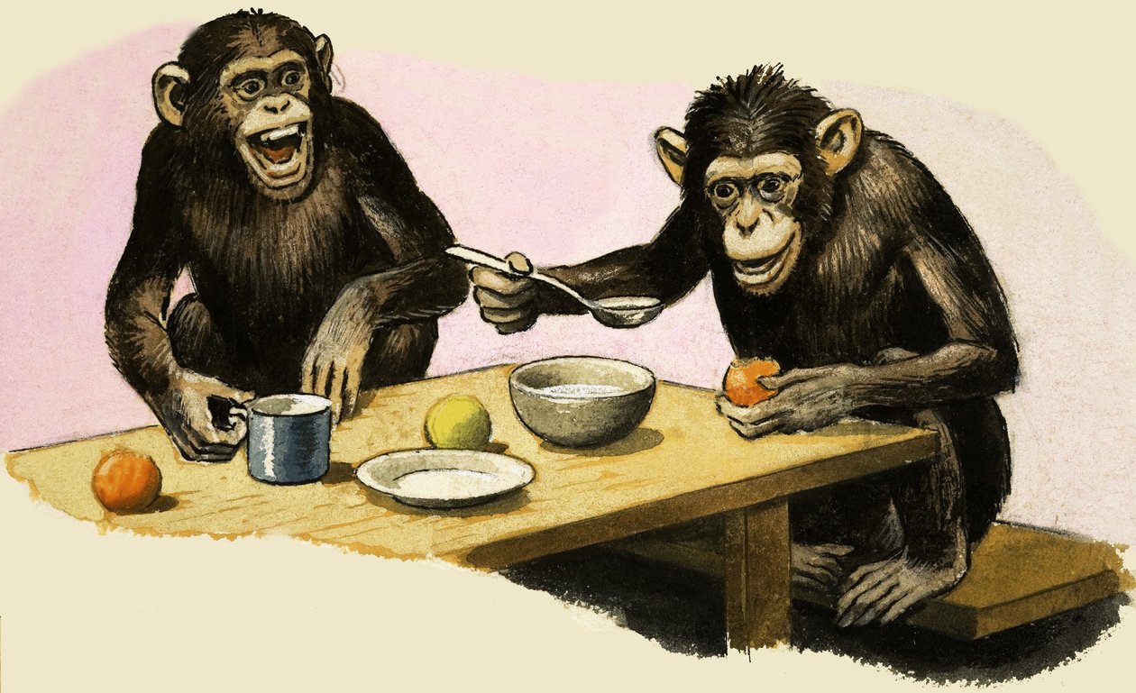 Z for Zoo. Chimpansens teselskab af R.B. Davis